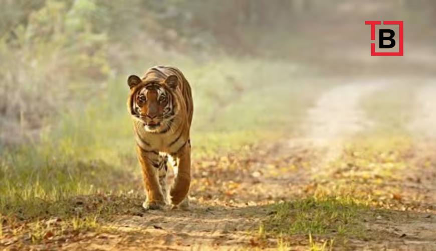 Dudhwa National Park