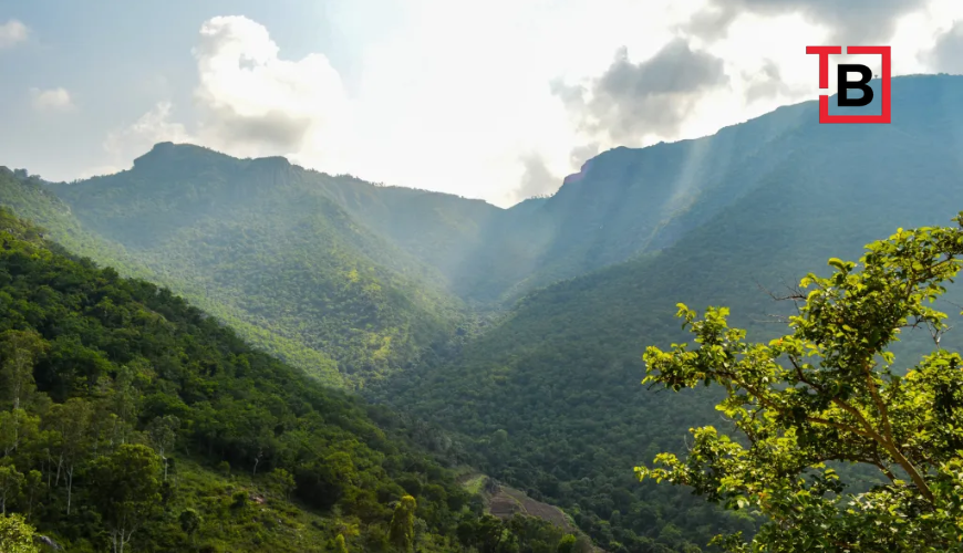 Bandipur National Park